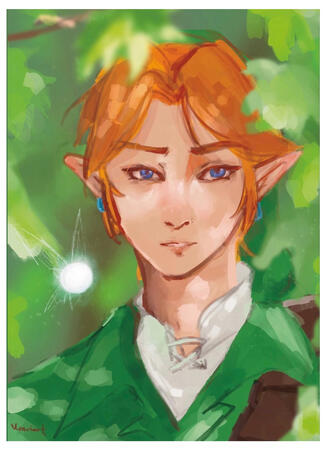 oot link