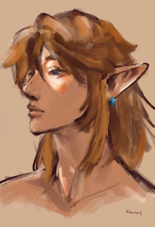 Link Portrait Link Portrait